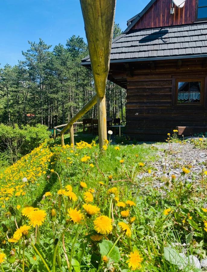 Villa Drevenica Uhorčík Terchová Exterior foto